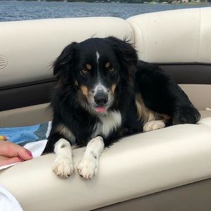 Meet your Posher, Margaret